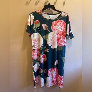 Green Lularoe dress/tunic with pink roses.  So pretty! 2XL.